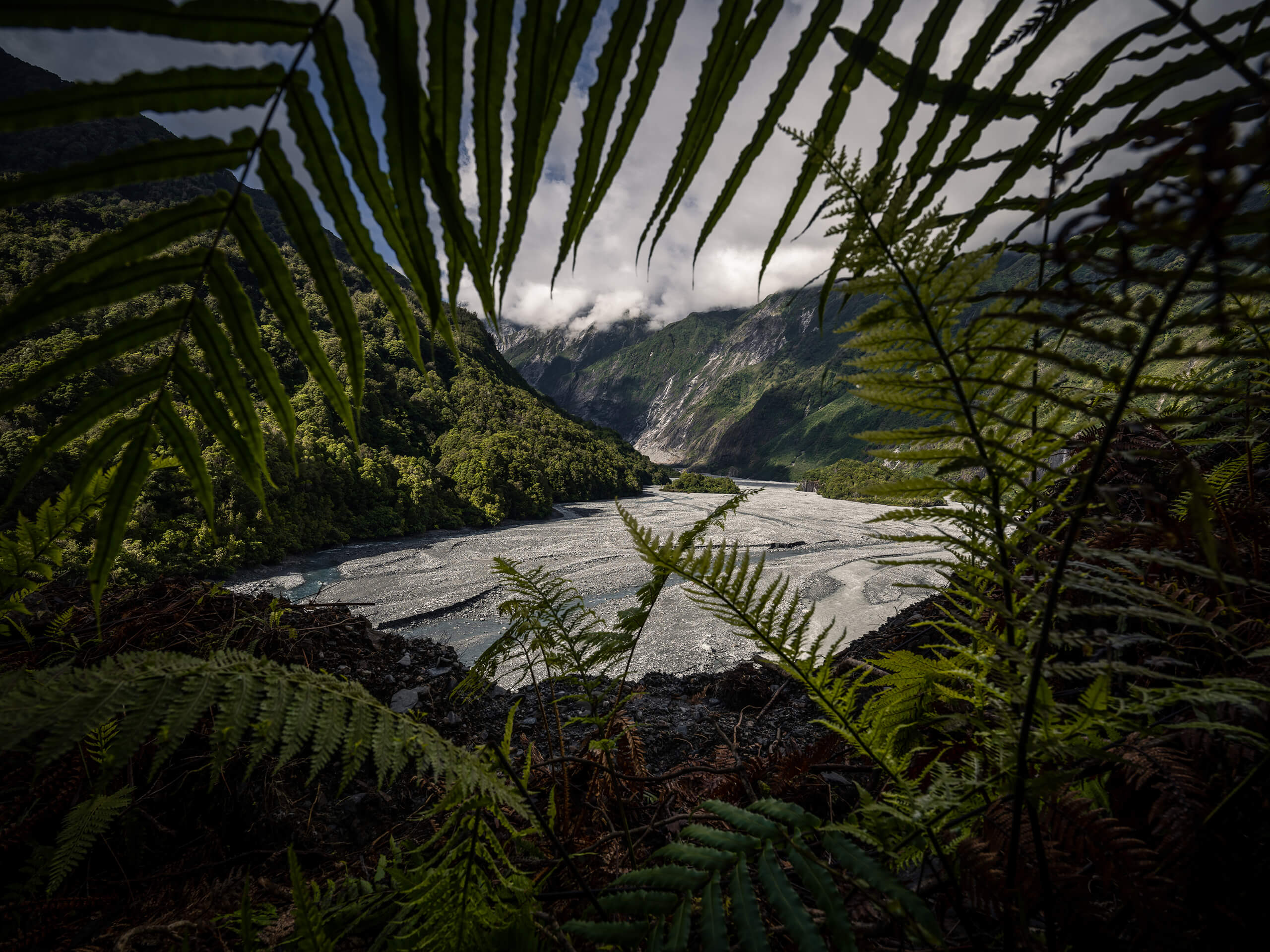 ADAM WEIST 冒険心を掻き立てるニュージーランドの亜熱帯雨林と活火山